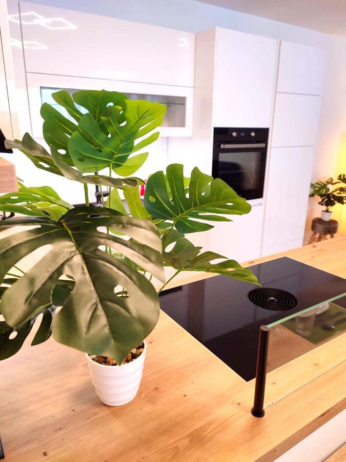 Modern Mountain Apartment - Free Parking & Sauna オーバータウエルン エクステリア 写真